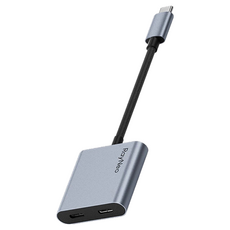레이네오 USB-C 변환젠더, 1개 1개