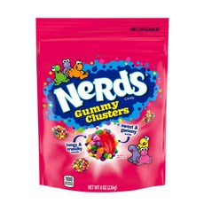 [미국직배송]너드 구미 클러스터 젤리 226g Nerds Gummy Clusters Candy 8oz, 1개