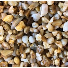 魚缸底沙 黃河沙 天然石 黃金砂 1公斤 多肉植物鋪陳裝飾, 1個, 1.2分, 黃色