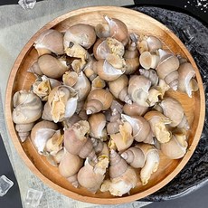 활 자숙 한입 동해 백고동 1kg 골뱅이 반찬 간식 안주 야식, 1개