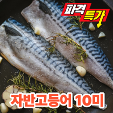 [재구매율 1위] 장모님고등어 맛있는 생선구이 국내산 손질 자반 간고등어, 1개, 업소용(대) 10미