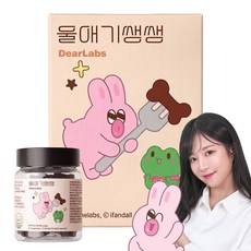 디어랩스 강아지 울애기쌩쌩 노견 눈 피부 관절 면역 장 종합영양제, 60정, 1개