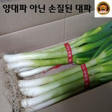 국내산 손질 대파 1단 (2k 내외) (양대파 아님), 2kg, 1개