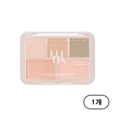 루나 컨실 블렌더 팔레트 6g, 1개, 4호 퍼펙트 커버 미디움