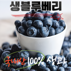 한정 탱글한 식감 상큼한 맛 국내산 생 블루베리, 1개, 14mm 800g (100gx8)