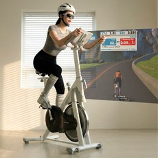 스마트 250s 마그네틱 스피닝 실내자전거 스핀 바이크 헬스사이클 유산소운동기구, 단품, 단품