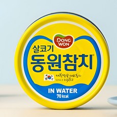 동원참치 동원 참치 인 워터, 100g, 10개