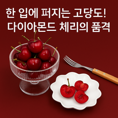 [엘림농수] 호텔납품급 고당도 다이아몬드 체리 선명한 컬러 보석처럼 빛나는 고당도 생과일, 1개, 9.5R 특대사이즈 (50알 내외, 500g)
