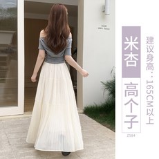 雪紡半身裙 高腰壓褶A字長裙