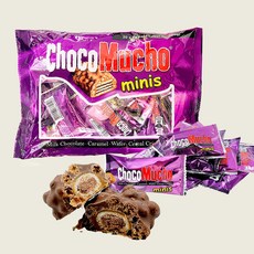 초코무초 미니 초콜릿바 한입사이즈 160g, 8g, 100개