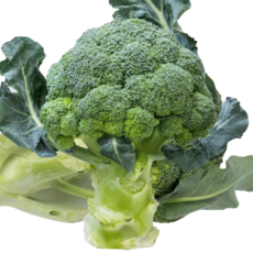 친환경 로컬푸드 브로콜리 특품 신선채소, 1kg, 1개, 1kg
