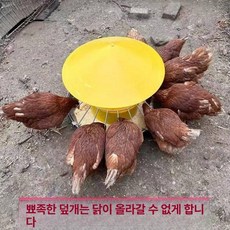 거위 먹이통 자동 사료 조류 닭장 피더 물그릇 닭모이, 1개, 1L, 60cm 30구 30kg