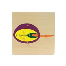 교육 장비 퍼즐 잎 캐비닛 및 카드 나무 꽃 뿌리 보드 직소 학습 도구, Seed Puzzle