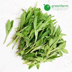 세이지 100g, 1개