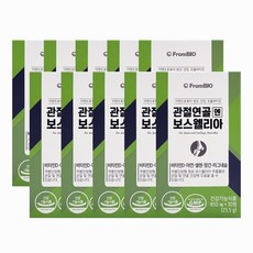 프롬바이오 보스웰리아 관절연골엔 120정 2박스, 30정, 10개