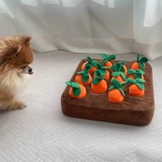 디아쿠아 애견 당근 뽑기 노즈워크 강아지 장난감, 1개