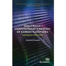 (영문도서) Small-scale Computational Vibration of Carbon Nanotubes: Composite Structure Hardcover, River Publishers, English, 9788770228657
