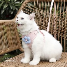 강아지 하네스 리즈줄세트 산책 반려견 가슴줄 조절 (51053511), 핑크／XS