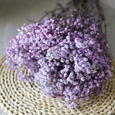 進口大朵滿天星乾燥花材 專業水染永生花 網拍攝影道具, 香芋紫（淺）,100克/大把（批發價）