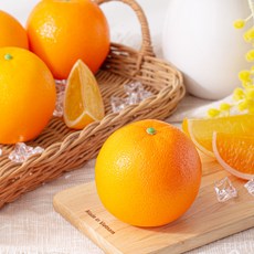 싱그러운 오렌지 모형 1P 모조 가짜 과일