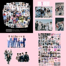 스트레이키즈 도무송 포카 스티커 100장 세트 외 10종 모음, 03.MAXIDENT 스티커(102장)
