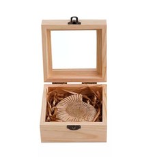 삼엽충 화석 고생물학 화석 표본 암모나이트, 성게 화석 + 소나무 상자, 1개