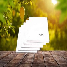 사이즈 모조지 백상지 캐드용지