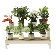 홈치치 화분 선반대 받침대 진열대, 2단, 화이트 800