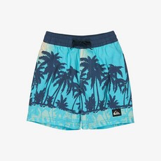 보드라이더스 퀵실버 에브리데이 프린트 13인치 주니어용 숏 (KG21KS025BJK)_CA