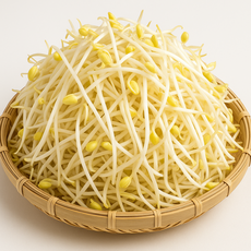 쿠팡추천 무농약 콩나물 2kg 국내산 신선콩나물 식자재 대용량 아삭한 콩나물국용 반찬용, 1개