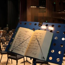 카멜리안 클립형 LED 독서등 배터리 충전식 침대 조명 북라이트 3색 조절 취침등