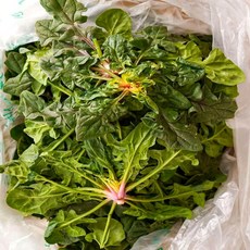 이모뜰 국내산 시금치, 1개, 2kg