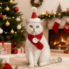 조절 가능한 스카프가 있는 크리스마스 강아지 산타 모자 니트 스카프 겨울 넥 워머 파티 드레스업 (그린 미디엄)_155431, 레드_155431