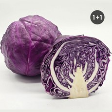 국내산 유기농 적양배추 (적채) 제주산, 1박스, 4kg