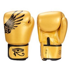 Fairtex 健身房拳擊手套 重擊打沙袋拳套 泰拳拳套 - BGV1, 1個, 10oz, 金色