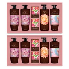 엘지생활건강 정성담은 샴푸&바디세트 프리미엄 선물세트 설날 추석 명절 답례품, 2세트