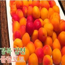 산지직송 김천 플럼코트 2kg 4kg, 1개