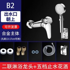 PENG 淋浴龍頭, 1個, 【閤金款】二聯淋浴+五檔花灑套裝（帶配件