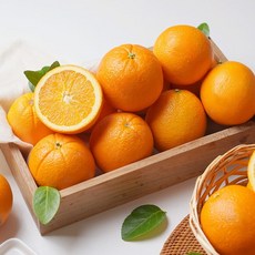 네이블 오렌지 대과(13과)/2개구매시 28과발송, 없음