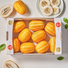 산지직송 고당도 성주 참외 꿀 참외, 1박스, 1kg (랜덤과)