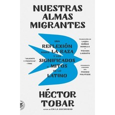 (영문도서) Nuestras almas migrantes (Our Migrant Souls - Spanish Edition) Paperback, Picador Paper, English, 9781250366863