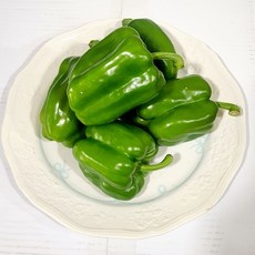 가락싱싱 싱싱한 청피망(상) 못난이, 1박스, 청피망(상)3kg