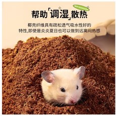 兔老爺 乾椰土 倉鼠墊料 調濕散熱 適合挖掘造景 椰殼纖維墊材, 1個, 乾椰土 500克