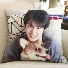 TF家族張極周邊抱枕 創意生日禮物靠墊, 1個, 1,35X35cm含枕芯（寶寶絨 迷你）