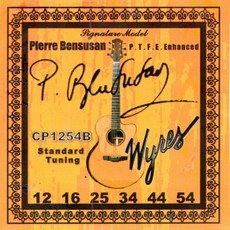 Wyres Pierre Bensusan 簽名款 民謠吉他弦 (12-54), 1個