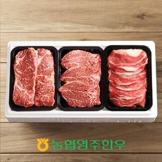 [농협영주한우]로스특수부위 모듬 한판 2호 / 총 900g (등심 채끝 차돌박이), 없음, 1세트