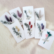 이삼공오 꽃카드 프리저브드 플라워카드 감사카드 강아지풀, 1개, 라그라스-화이트