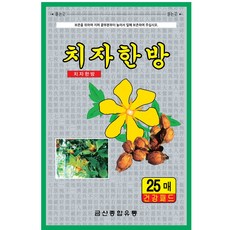 치자파스 한방패드 25매 효도선물, 1개
