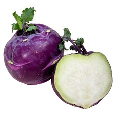 제주 보라 콜라비 산지직송, 1개, 5kg