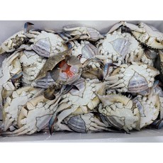 알가득 못난이 몽당암꽃게 5kg, 1박스